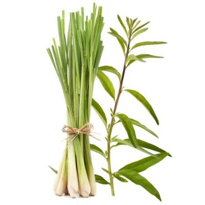 HE LEMONGRASS BIO