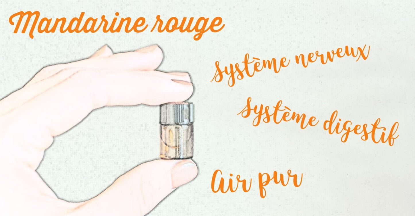 BOX RESPIRE : DUO INHALATEUR + HE