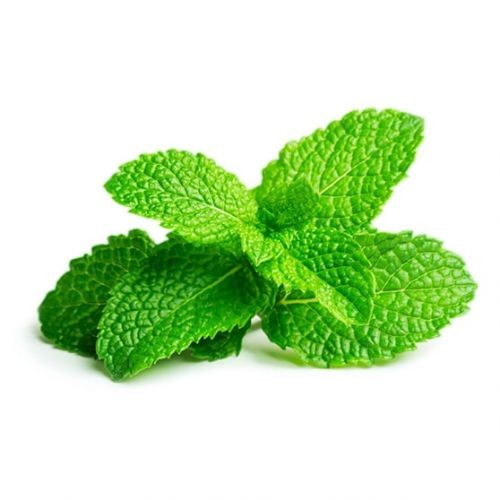HY MENTHE POIVREE BIO