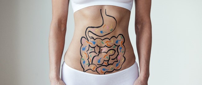 DIGESTION BIO : SYNERGIE