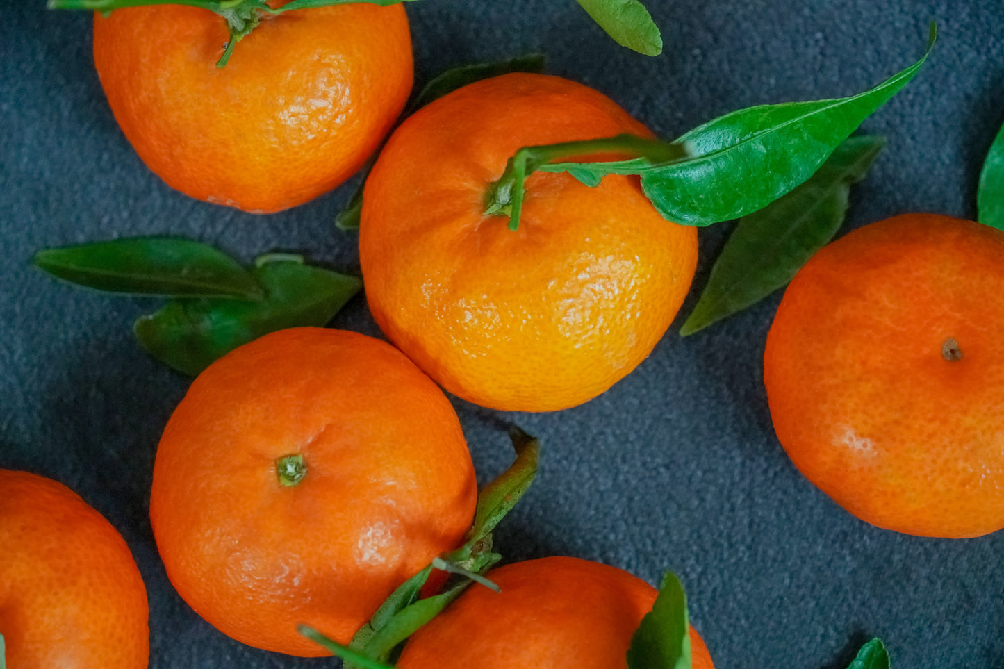HE MANDARINE ROUGE BIO
