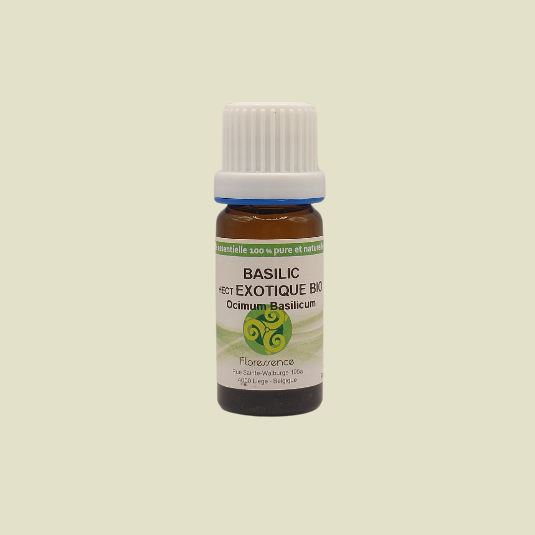 HE BASILIC EXOTIQUE BIO
