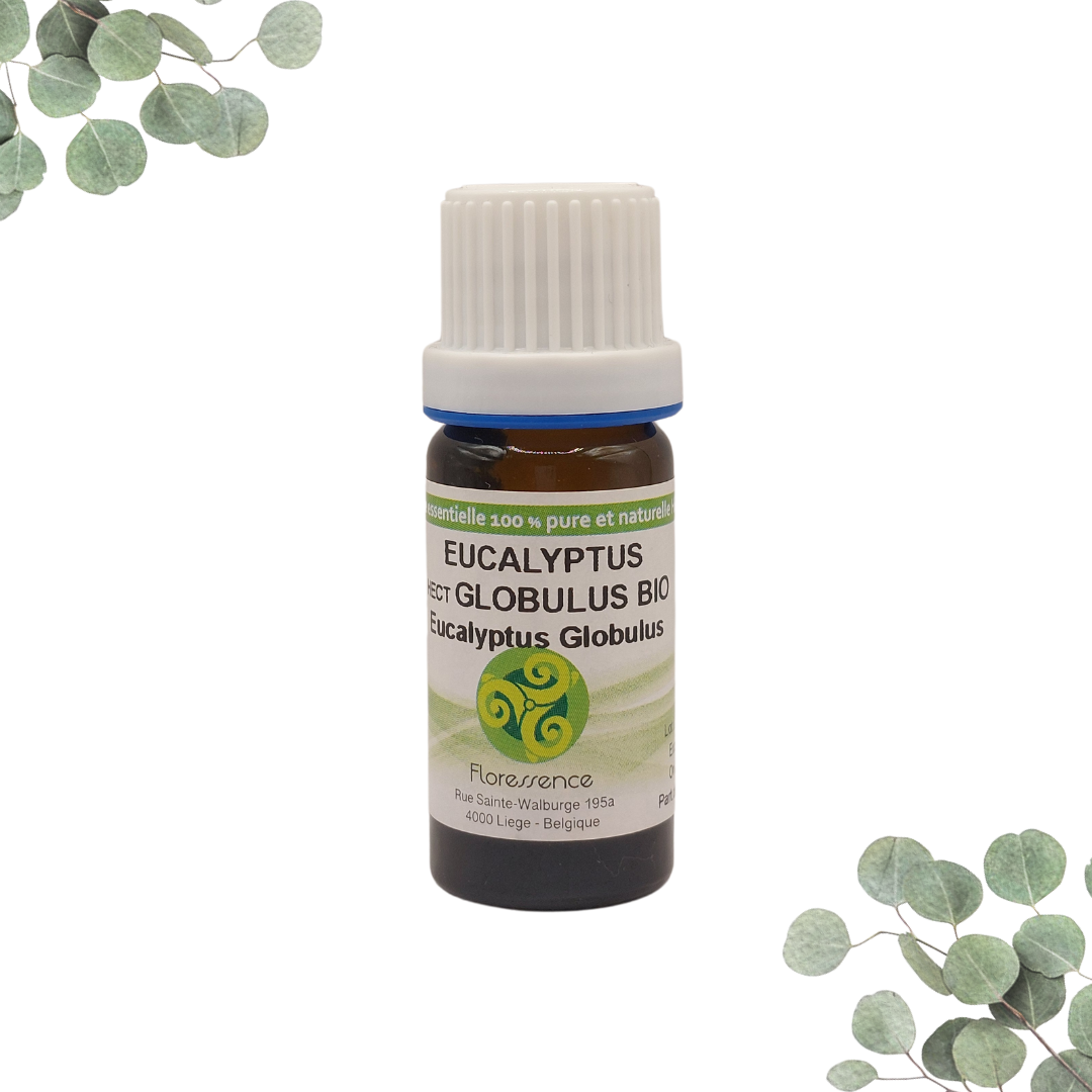 HE EUCALYPTUS GLOBULUS BIO