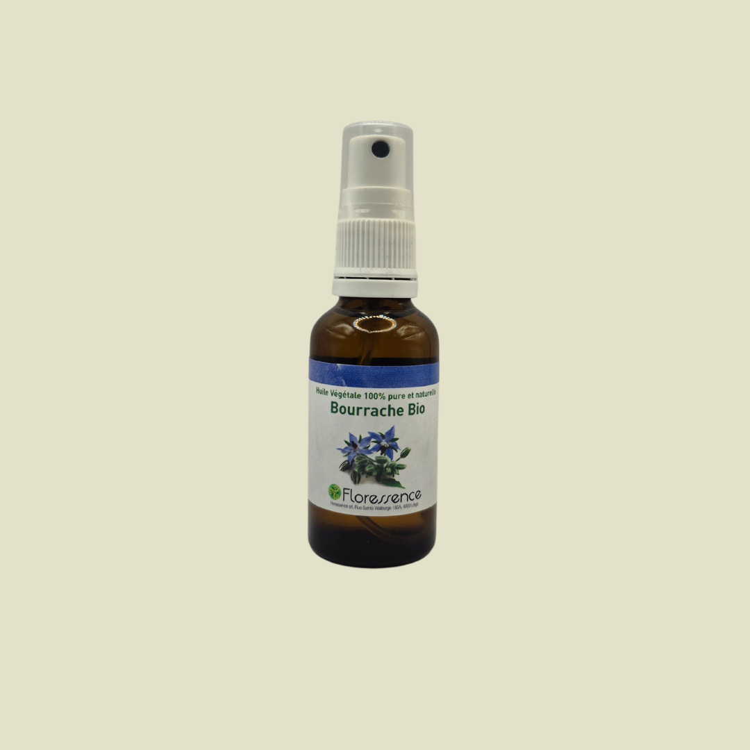 HV BOURRACHE BIO