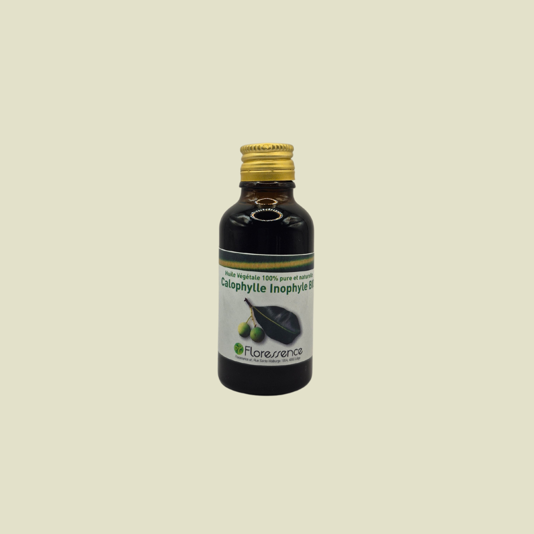 HV CALOPHYLLE INOPHYLE BIO