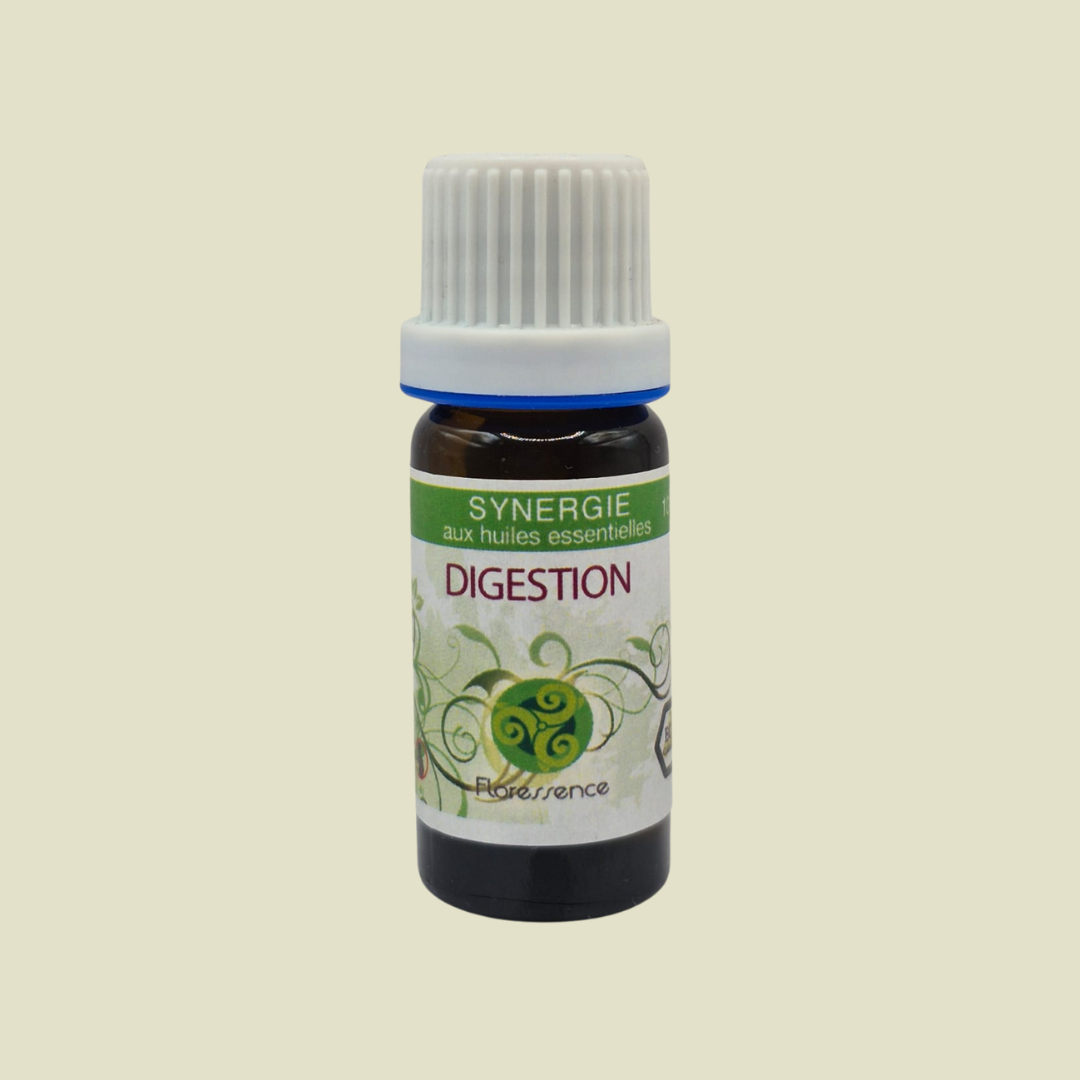 DIGESTION BIO : SYNERGIE