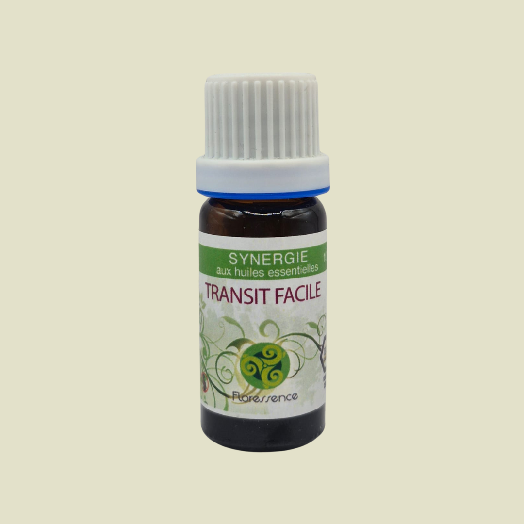 TRANSIT FACILE BIO: SYNERGIE