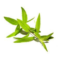HE LITSEE CITRONNEE BIO