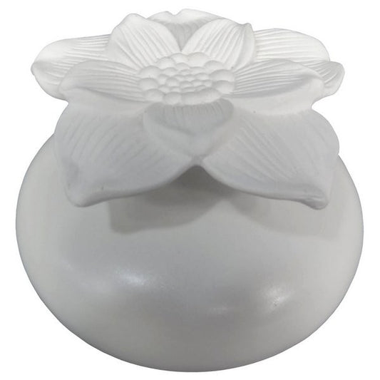 DIFFUSEUR PAR CAPILLARITE NARCISSE BLANC