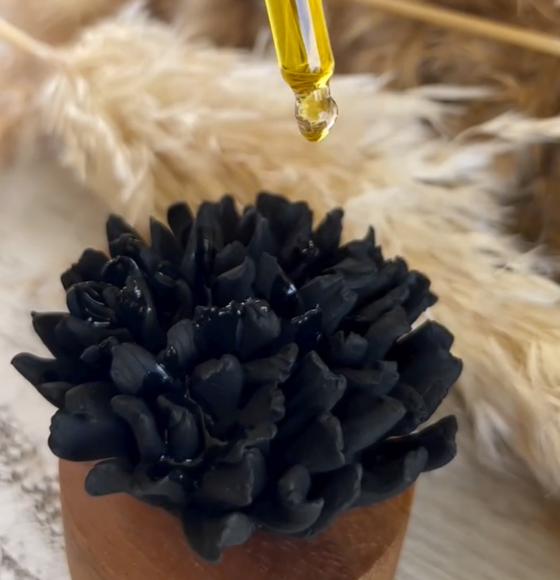 DIFFUSEUR DE PARFUM D'AMBIANCE - OEILLET DU JAPON NOIR
