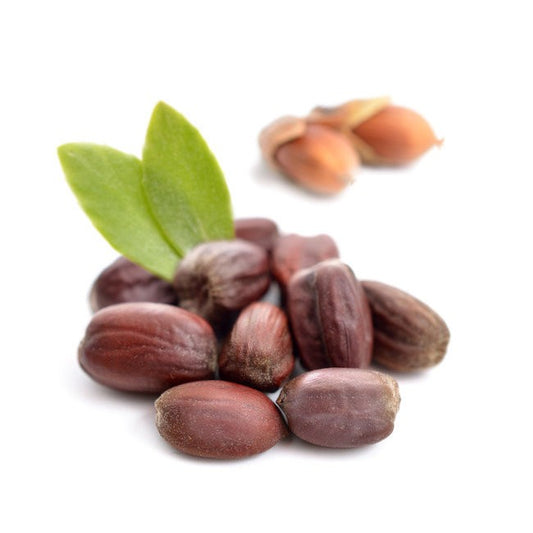 HV JOJOBA BIO