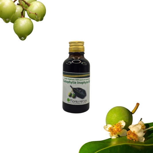 HV CALOPHYLLE INOPHYLE BIO