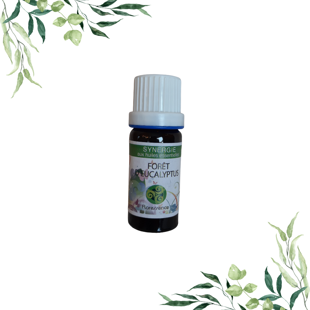 FORET D'EUCALYPTUS : SYNERGIE DIFFUSION