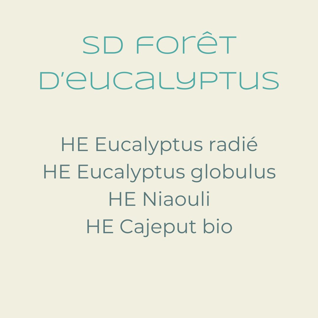 FORET D'EUCALYPTUS : SYNERGIE DIFFUSION