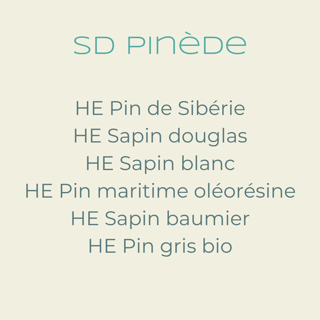 PINEDE : SYNERGIE DIFFUSION